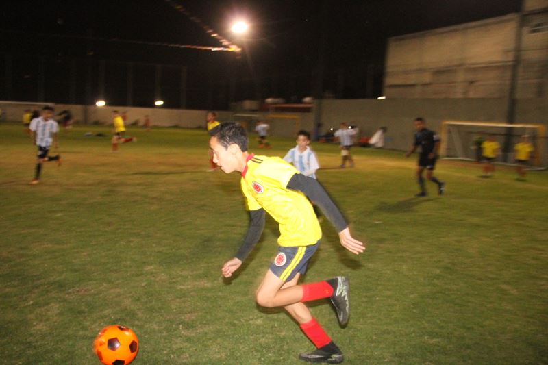 Ir a la Siguiente Foto