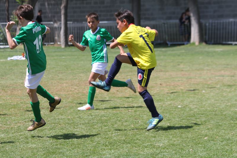 Ir a la Siguiente Foto