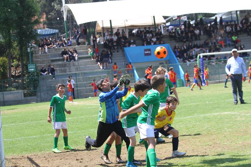 Ir a la Siguiente Foto