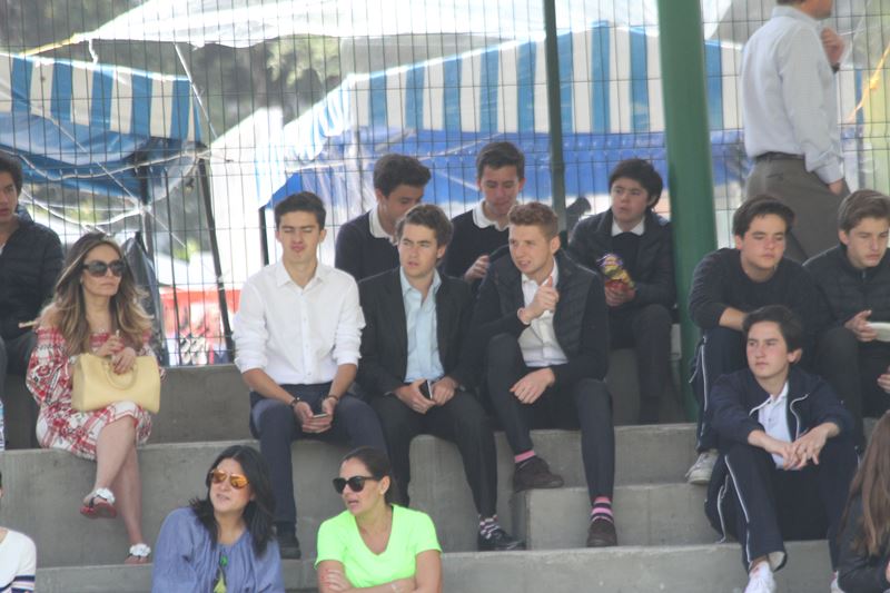 Ir a la Siguiente Foto