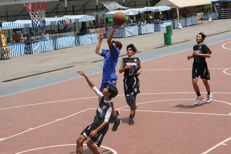 Ir a la Siguiente Foto