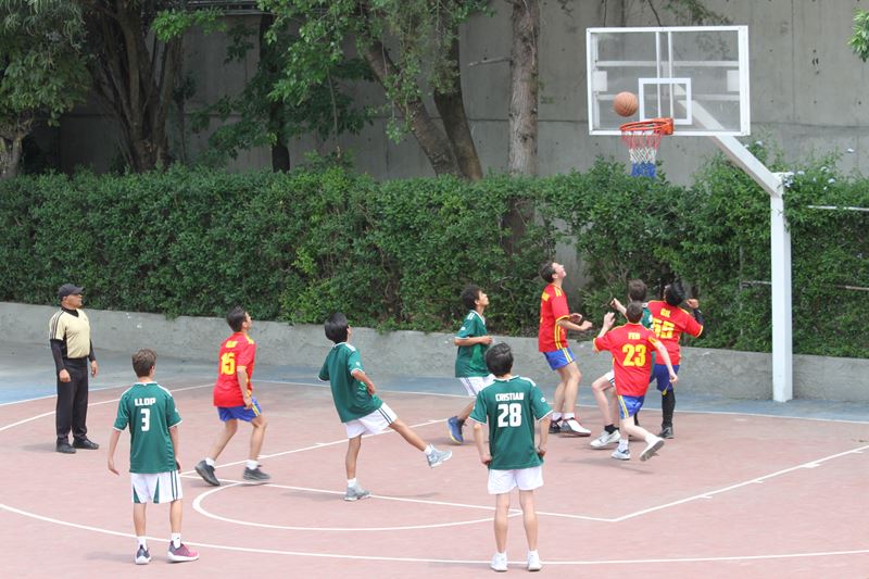 Ir a la Siguiente Foto