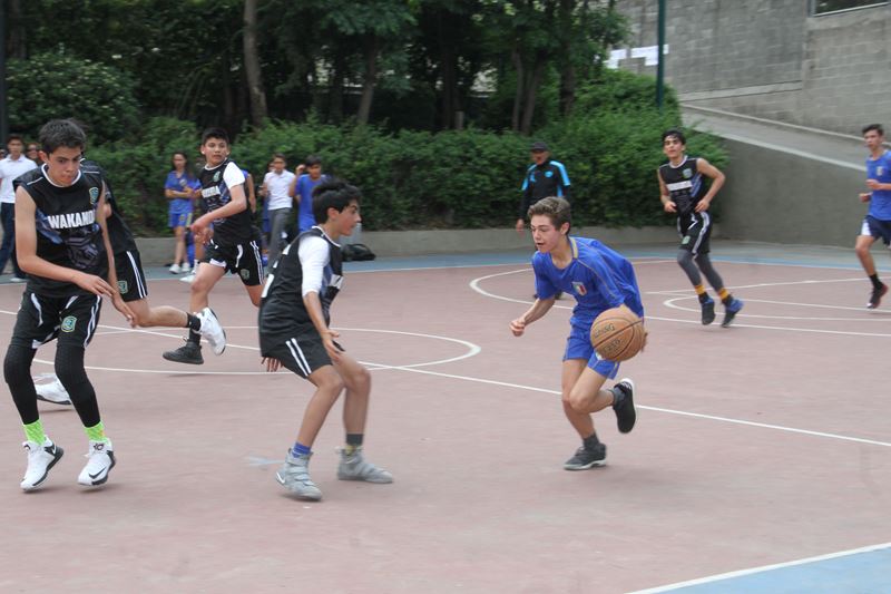 Ir a la Siguiente Foto