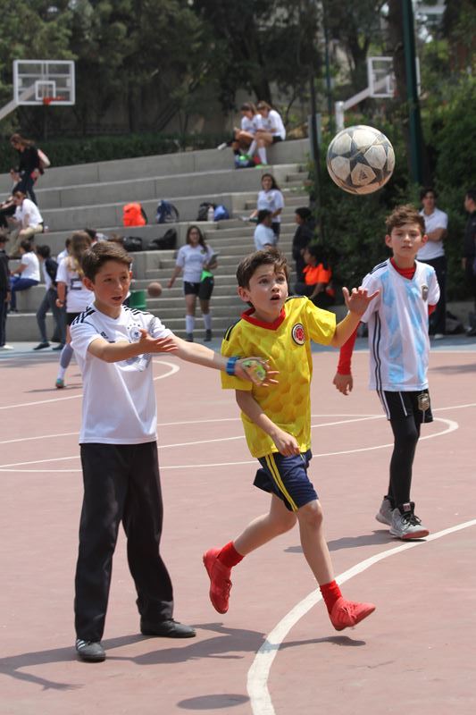 Ir a la Siguiente Foto