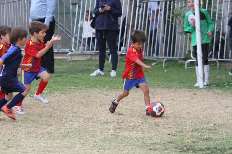 Ir a la Siguiente Foto