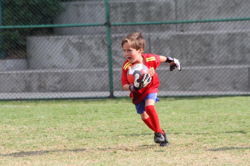 Ir a la Siguiente Foto