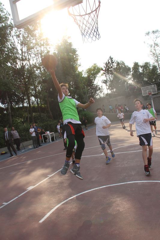 Ir a la Siguiente Foto