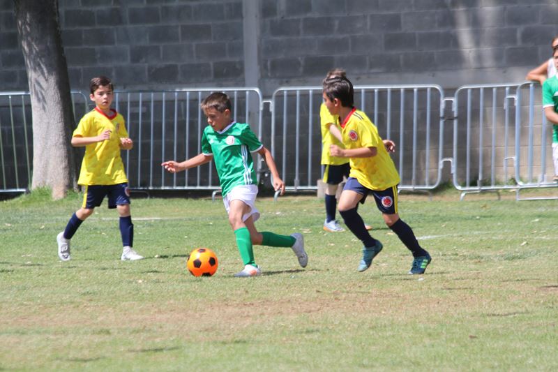 Ir a la Siguiente Foto