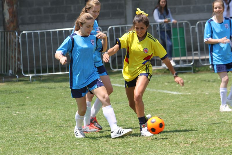 Ir a la Siguiente Foto