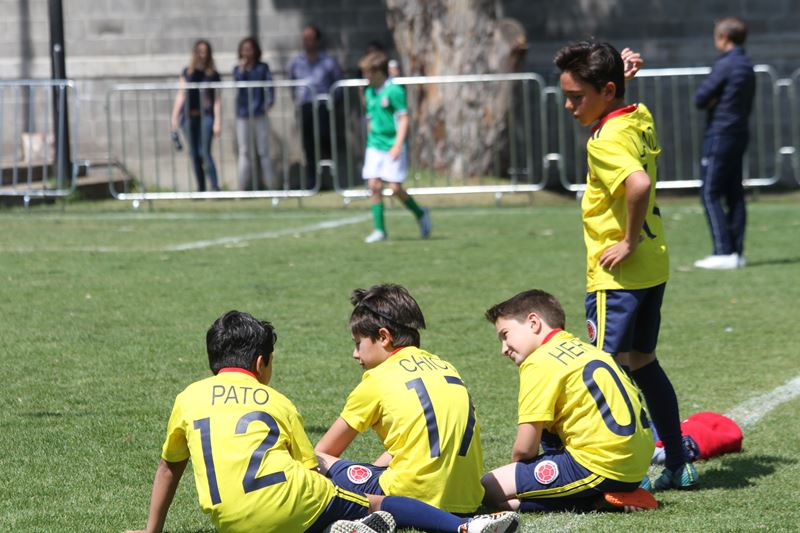 Ir a la Siguiente Foto