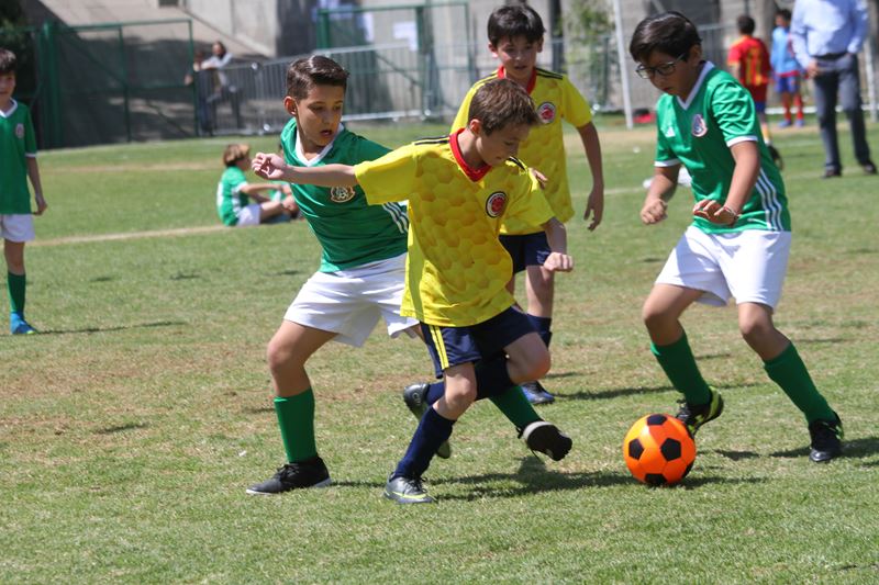 Ir a la Siguiente Foto