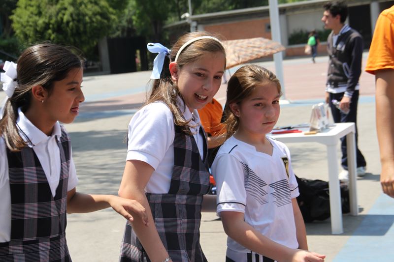 Ir a la Siguiente Foto