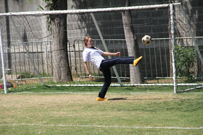 Ir a la Siguiente Foto