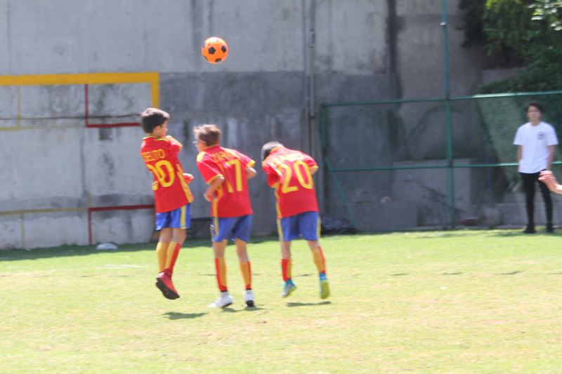 Ir a la Siguiente Foto