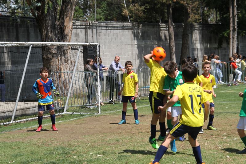 Ir a la Siguiente Foto