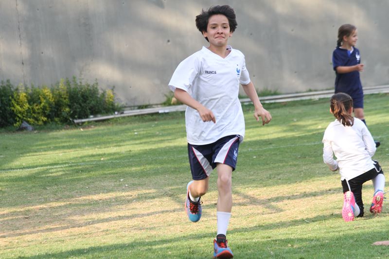 Ir a la Siguiente Foto