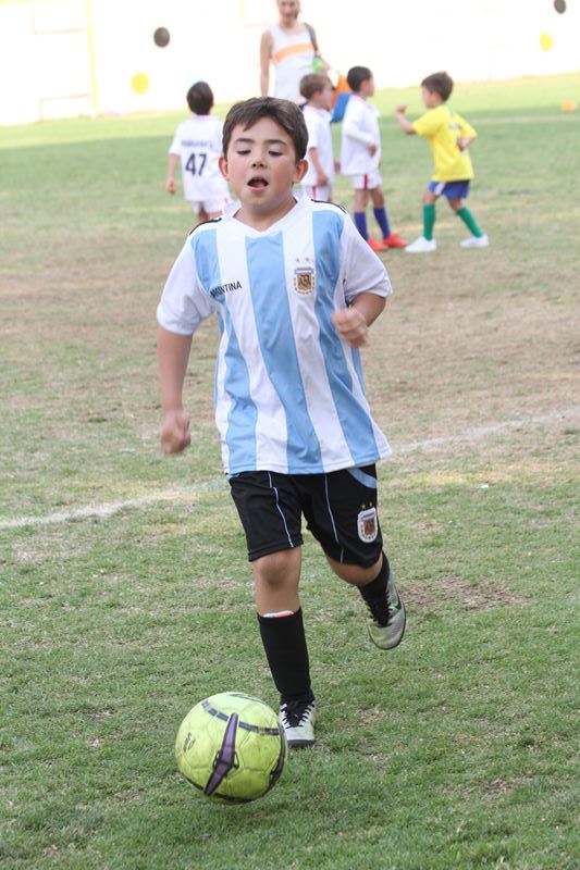 Ir a la Siguiente Foto