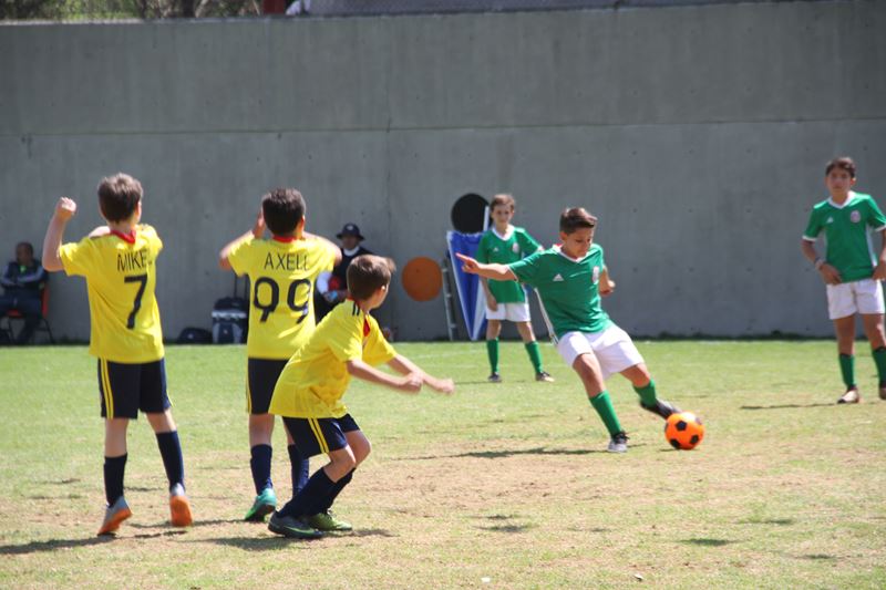 Ir a la Siguiente Foto