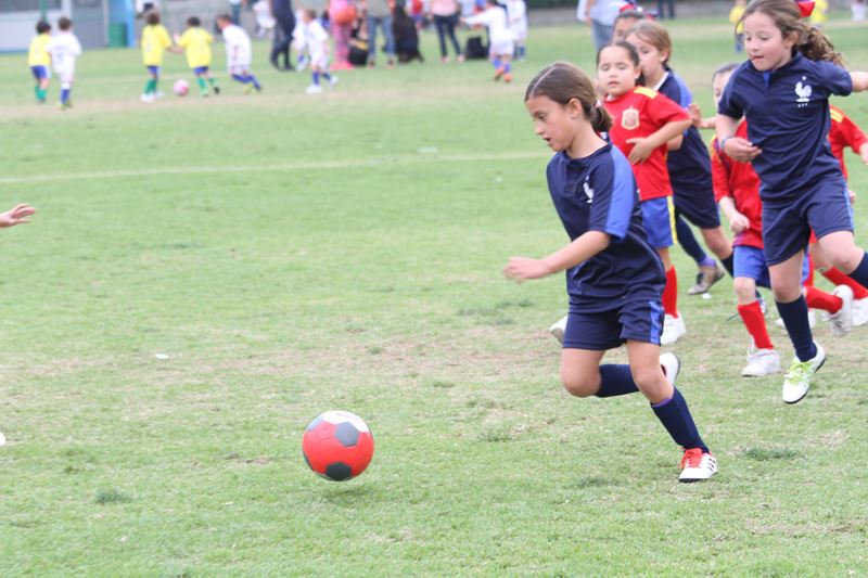 Ir a la Siguiente Foto