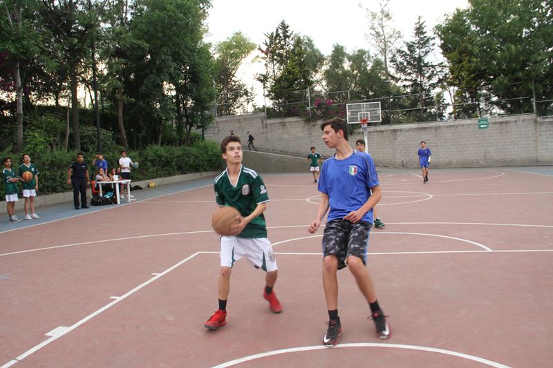 Ir a la Siguiente Foto