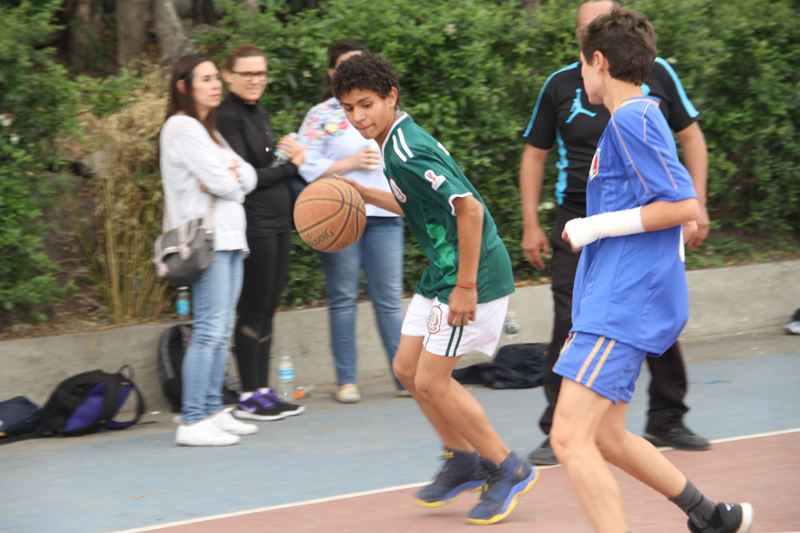 Ir a la Siguiente Foto