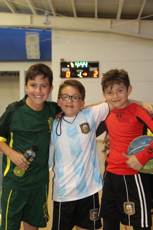 Ir a la Siguiente Foto