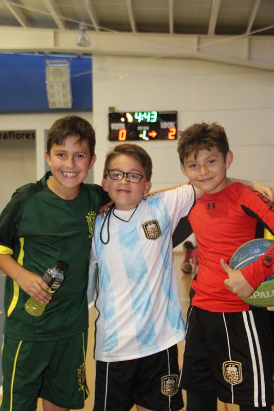 Ir a la Siguiente Foto