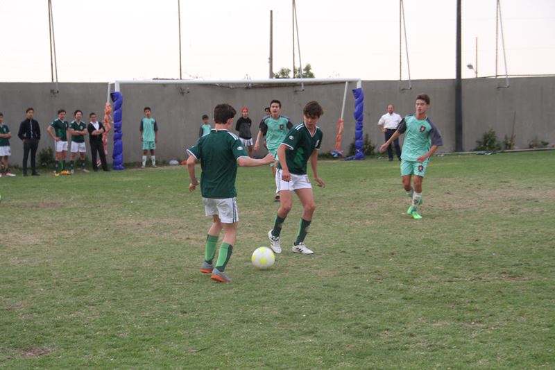 Ir a la Siguiente Foto