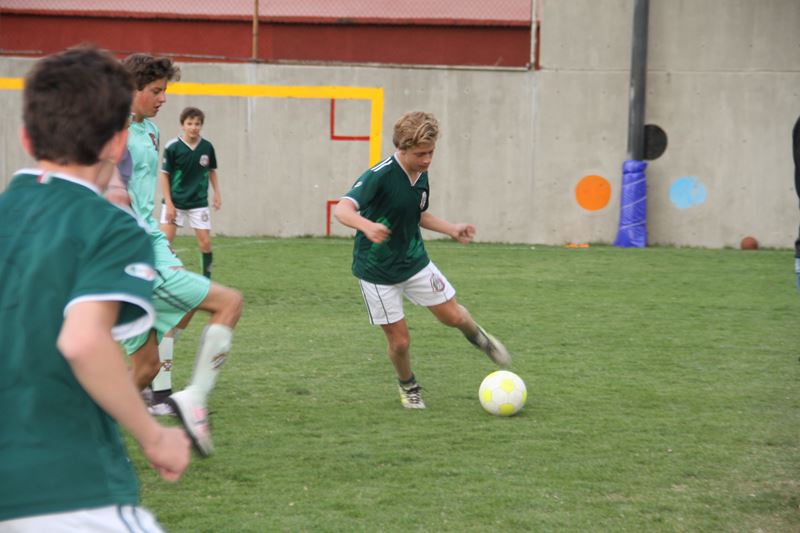 Ir a la Siguiente Foto