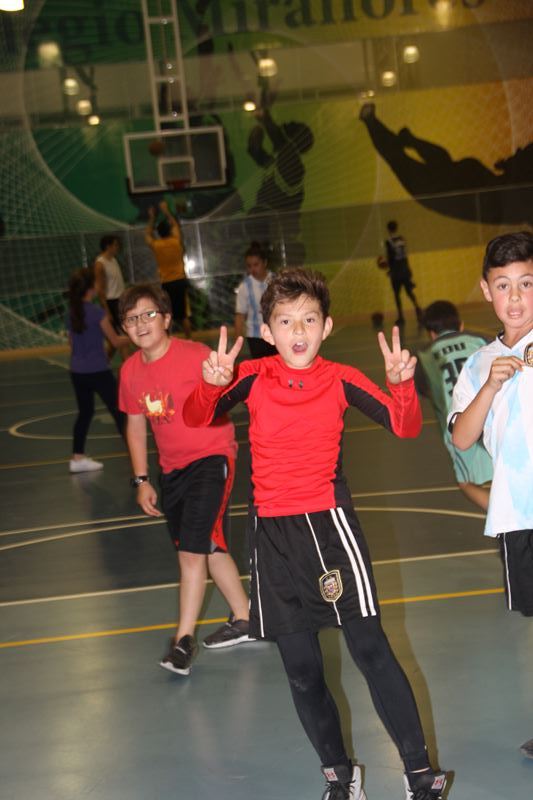 Ir a la Siguiente Foto