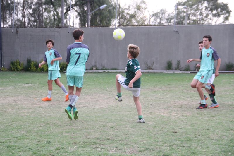 Ir a la Siguiente Foto