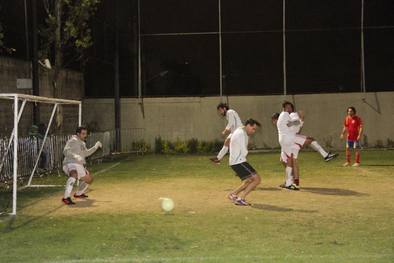 Ir a la Siguiente Foto