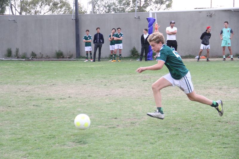 Ir a la Siguiente Foto