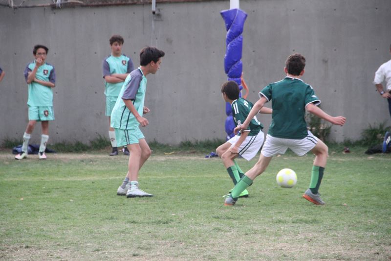 Ir a la Siguiente Foto