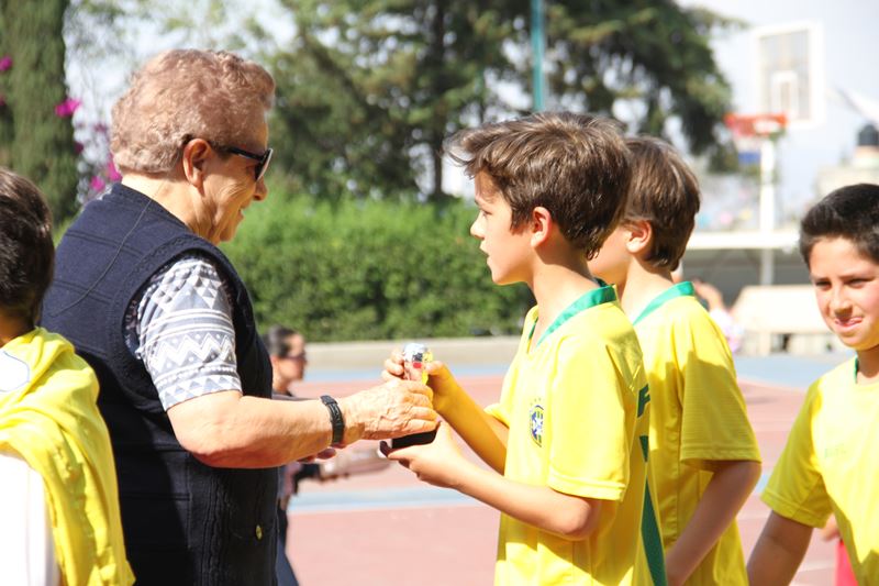 Ir a la Siguiente Foto