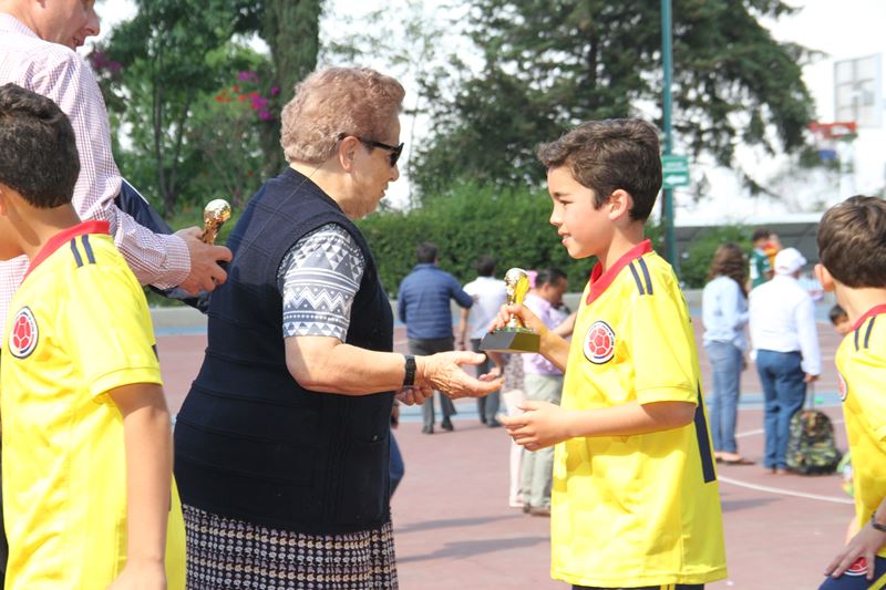 Ir a la Siguiente Foto