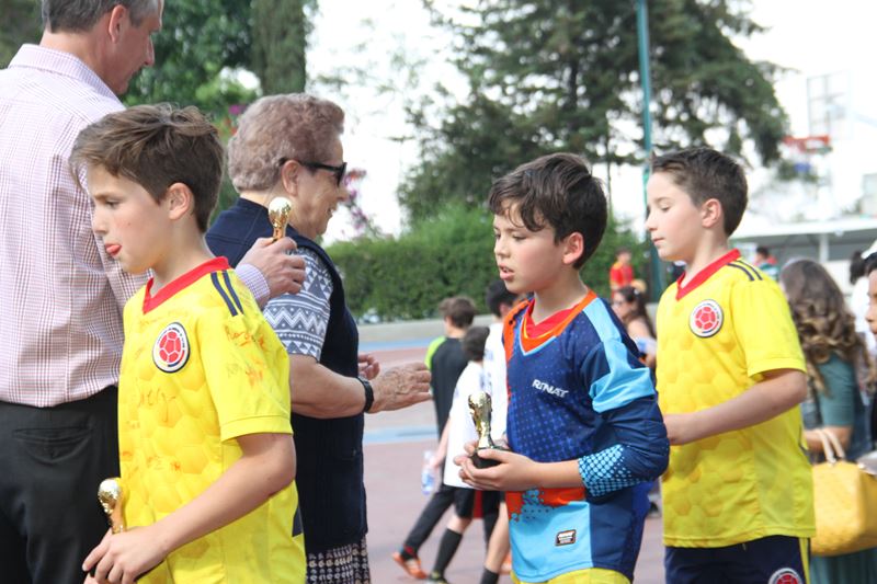 Ir a la Siguiente Foto