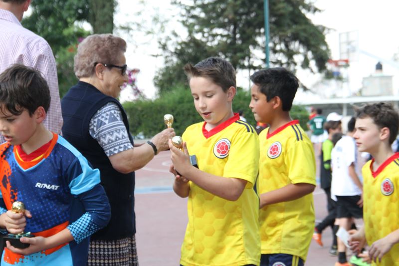 Ir a la Siguiente Foto