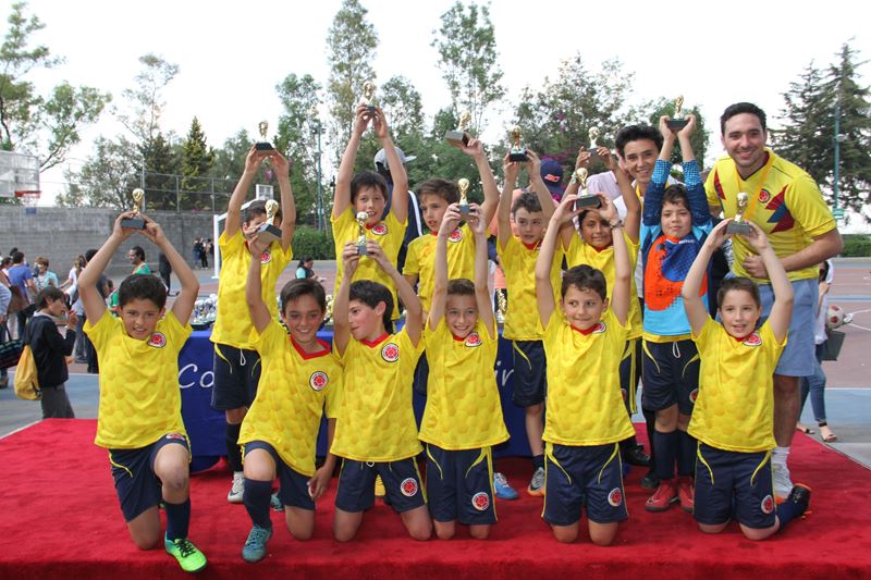 Ir a la Siguiente Foto