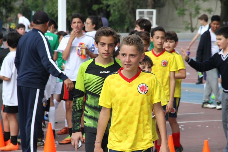 Ir a la Siguiente Foto