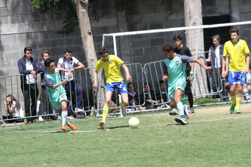 Ir a la Siguiente Foto