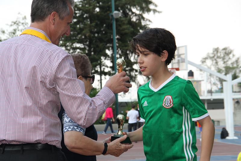 Ir a la Siguiente Foto