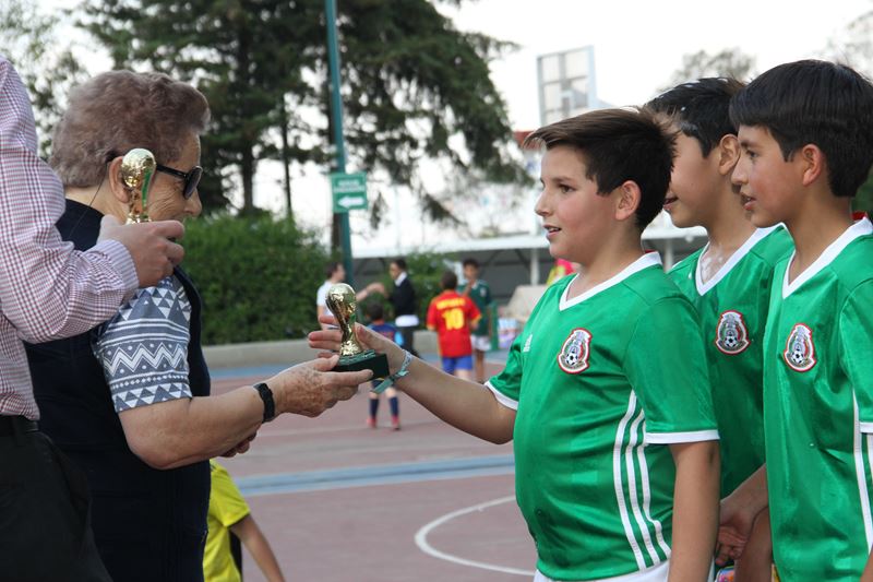 Ir a la Siguiente Foto