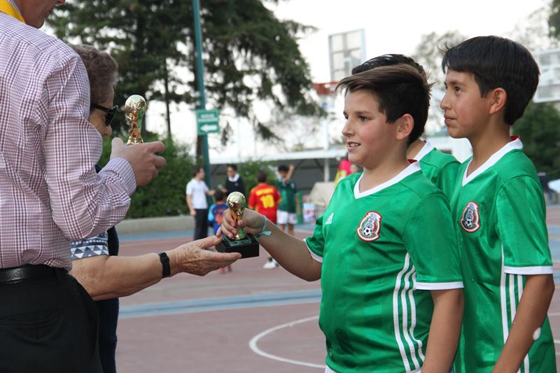 Ir a la Siguiente Foto