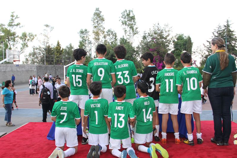 Ir a la Siguiente Foto