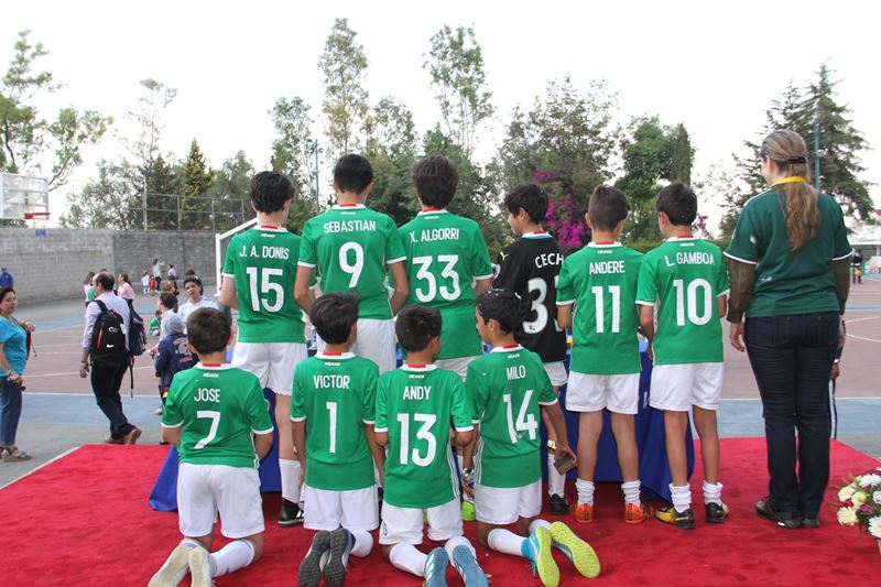 Ir a la Siguiente Foto