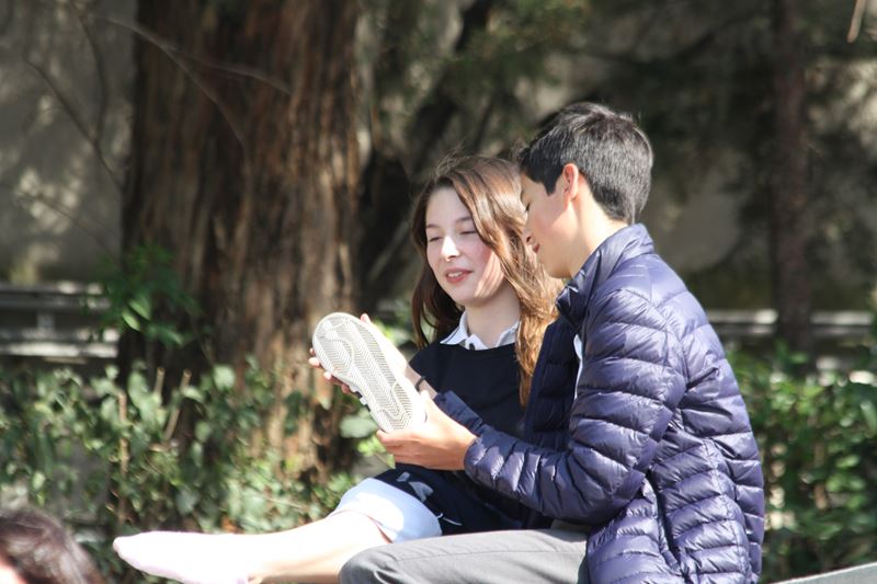 Ir a la Siguiente Foto