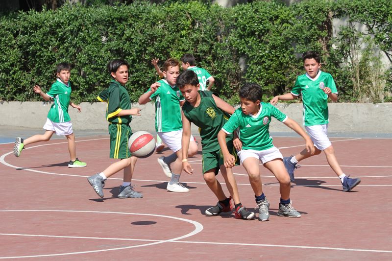 Ir a la Siguiente Foto