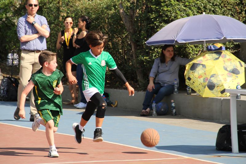 Ir a la Siguiente Foto