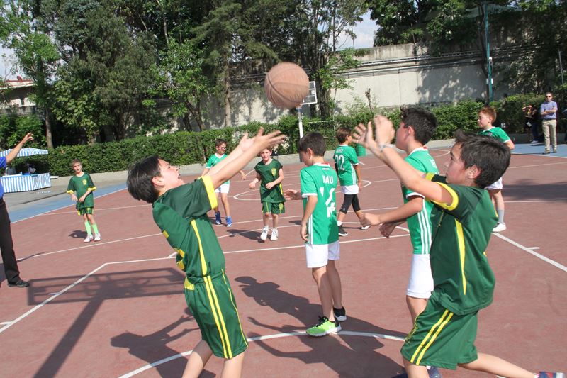 Ir a la Siguiente Foto